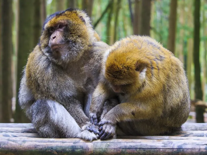 情感咨询：男人花心女人该如何维护感情