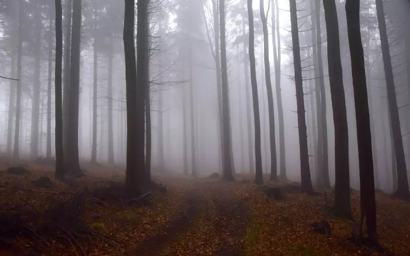 情感咨询：挽回男友之前该如何走出失恋阴霾？