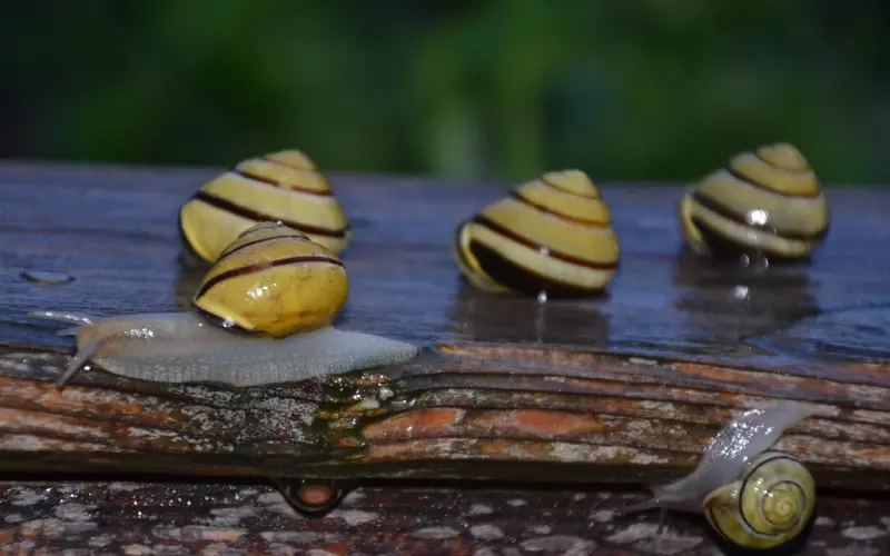 情感咨询：如何夸奖男友才不被分手？