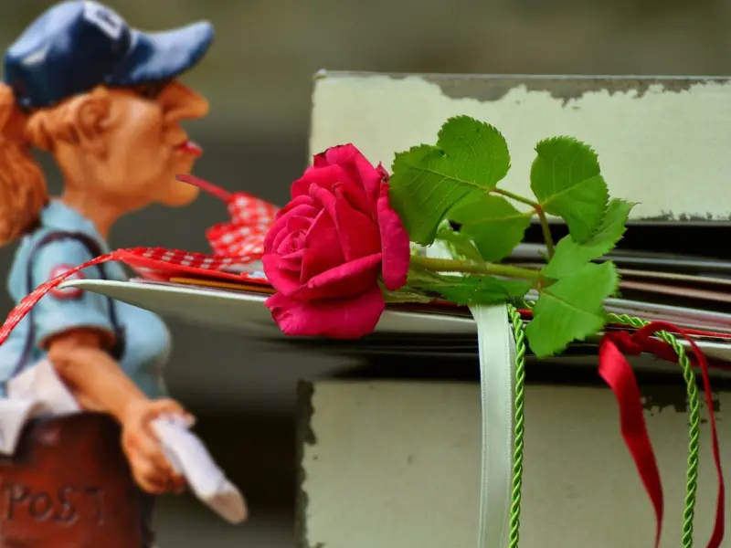 情感咨询：如何挽回你的爱情