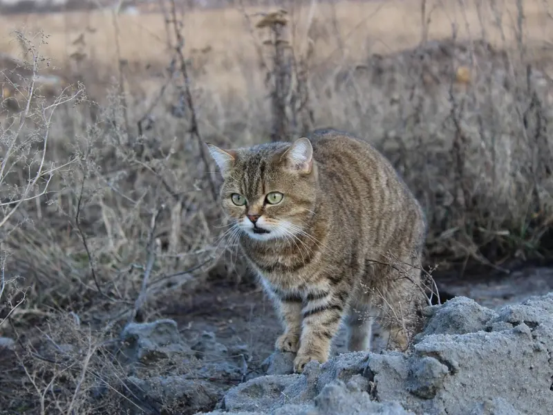 情感咨询：男友喜欢上别人 我该如何挽回