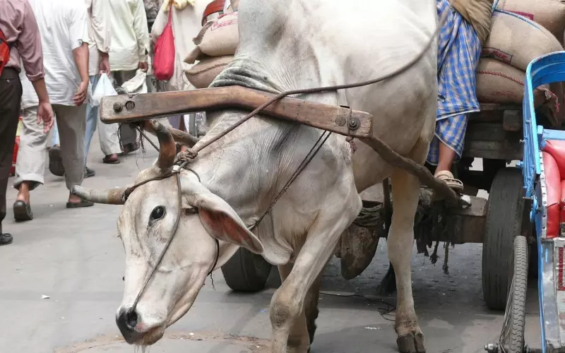 情感咨询：如何举证老公有婚外情