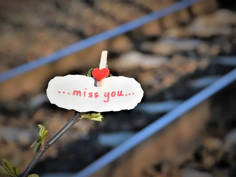 情感咨询：要怎么挽救失去的爱情？