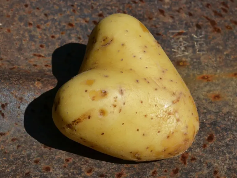 情感咨询：我该如何挽回男友的心？