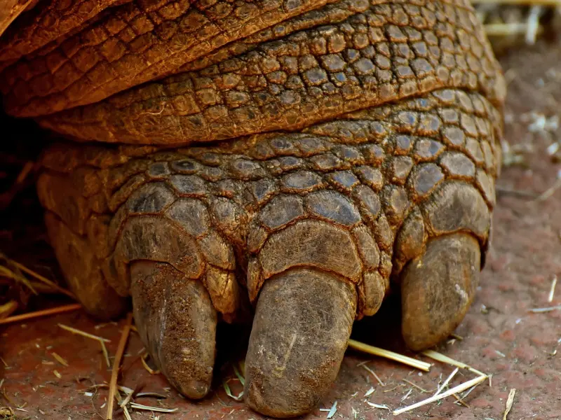 情感咨询：怎样挽回巨蟹座前女友