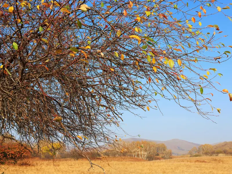 情感咨询：挽回男友之如何重新塑造自我?