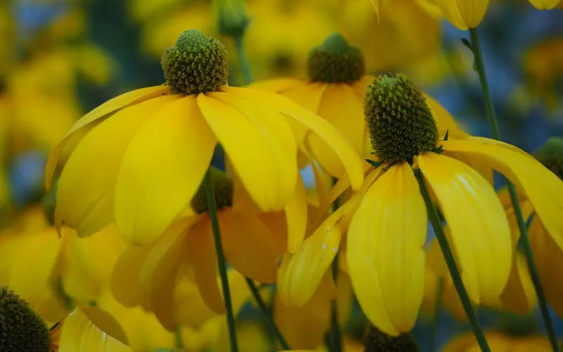 情感咨询：如何对待男友的红颜知己？