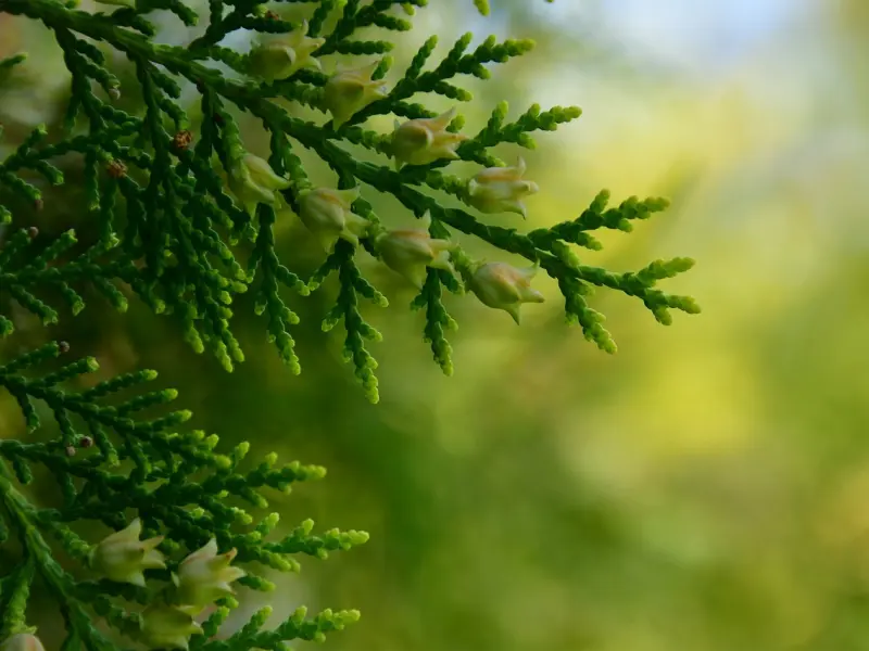 情感咨询：如何自己来挽救婚姻