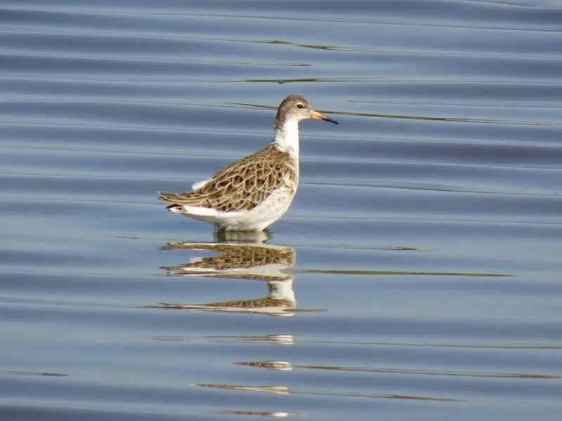 情感咨询：和老公性格不合我要如何挽回婚姻？