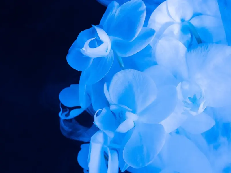 情感咨询：女人怎样和已婚男人划清界限