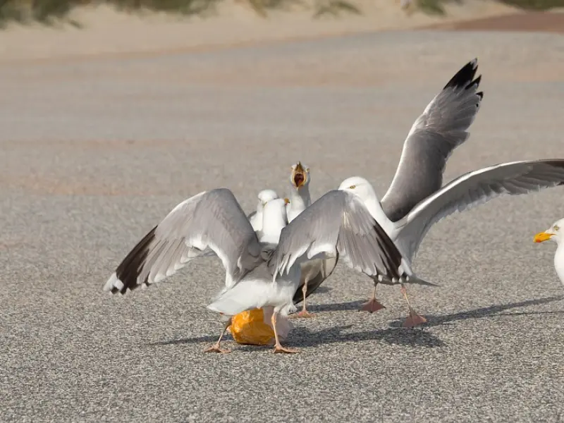 情感咨询：跟老公吵架了怎么挽回？