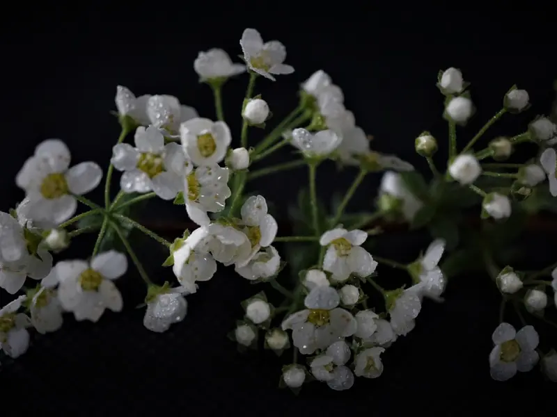 情感咨询：如何Hold住比自己好很多的老公，防止他出轨呢？