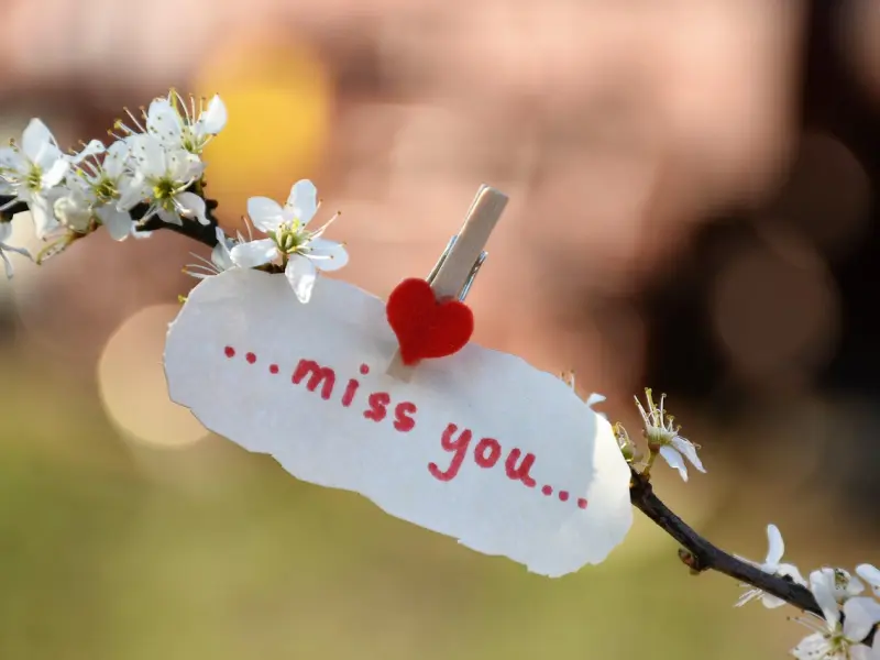 情感咨询：如何挽回失去的爱情?四步让前男友回到你身边