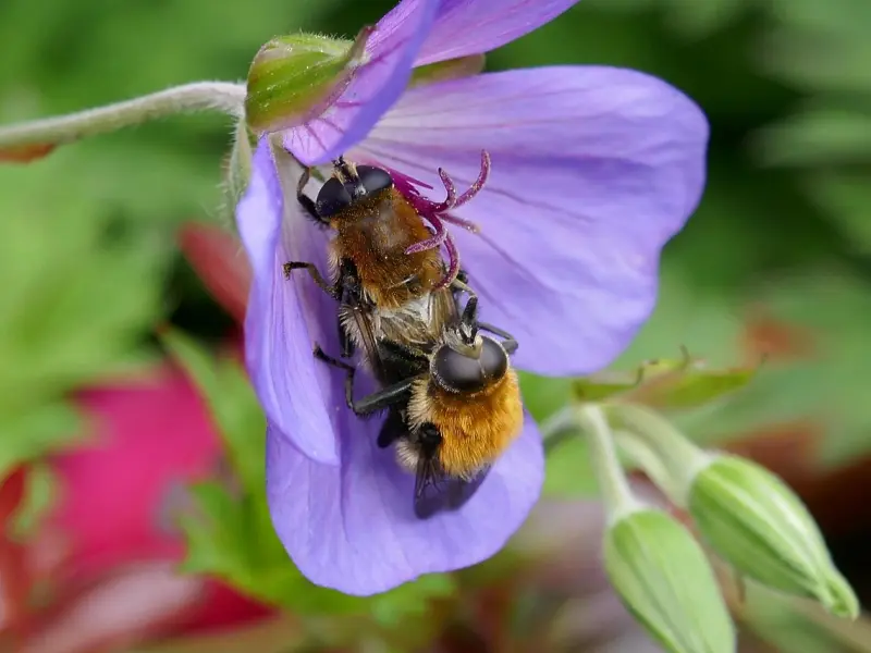 情感咨询：关于婚前性行为，女生应该如何选择？