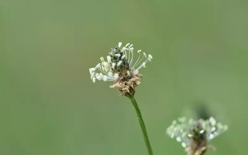 情感咨询：怎么摆脱婚外情？
