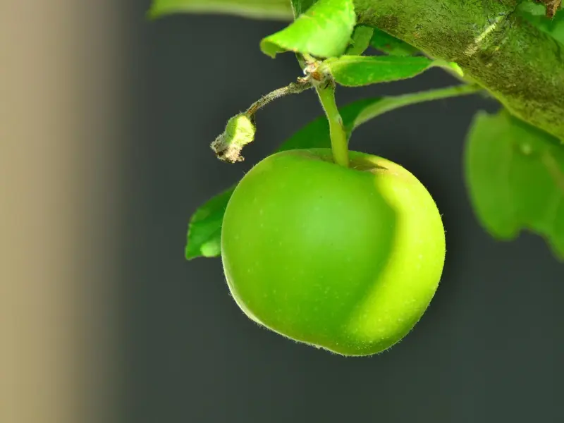 情感咨询：成熟女人如何挽救婚姻