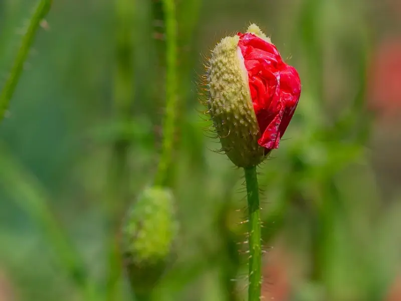 情感咨询：濒临离婚边缘的女人该如何挽回老公