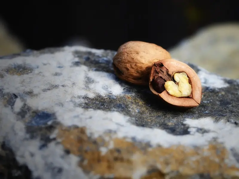 情感咨询：如何挽回心软的男友