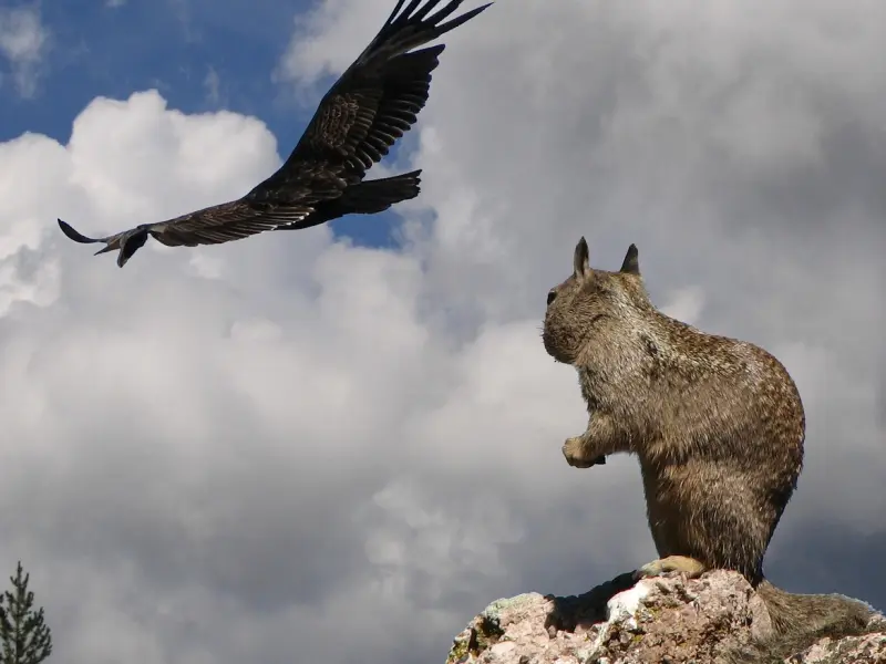 情感咨询：遭遇婚变，如何挽回出轨的老公？