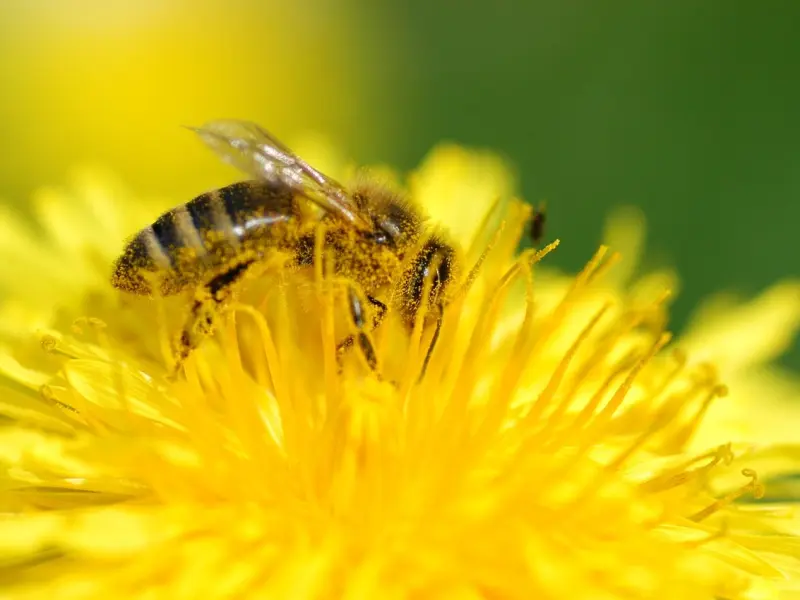 情感咨询：我总是怀疑老公出轨，怎么办？