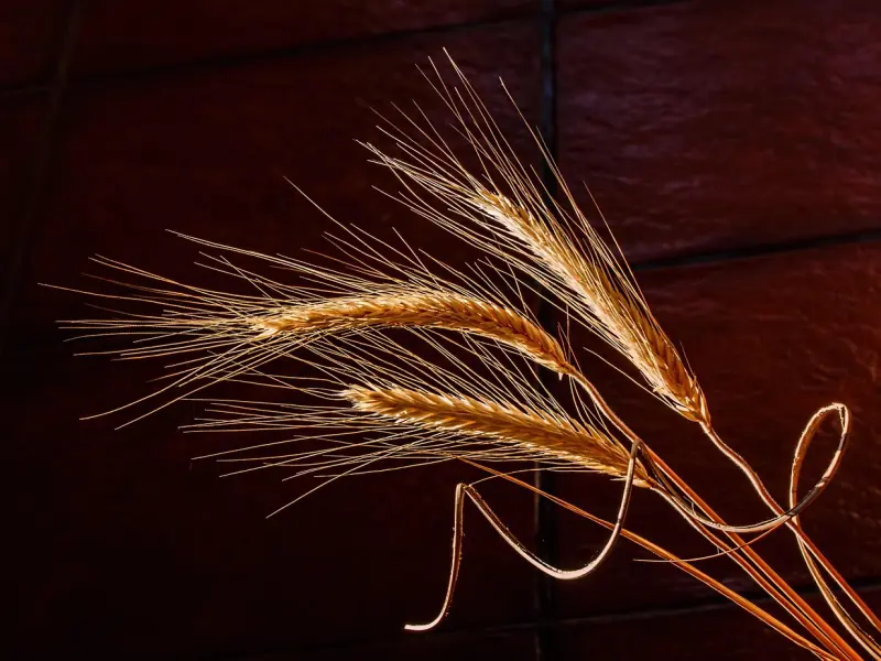 情感咨询：和老公吵架闹离婚，钱与婚姻我该如何选择？