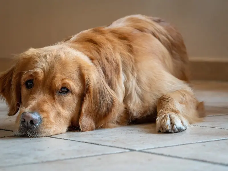 情感咨询：我不懂得如何与异性相处