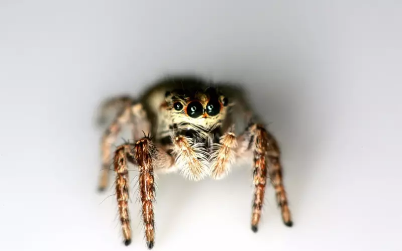 情感咨询：觉得自己的公婆小气