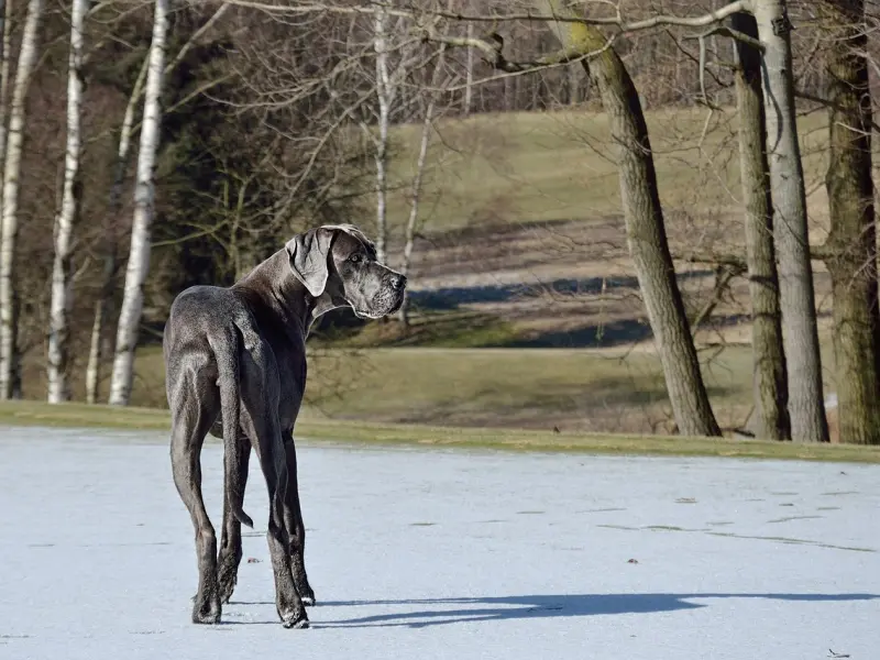情感咨询：我把第一次给他了，可他却没有珍惜该怎办？