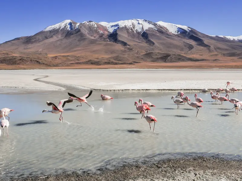 情感咨询：和老公长期异地，不想和他过了我该离婚吗