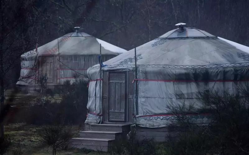 情感咨询：我曾经努力尝试过挽回，但是后来失败了