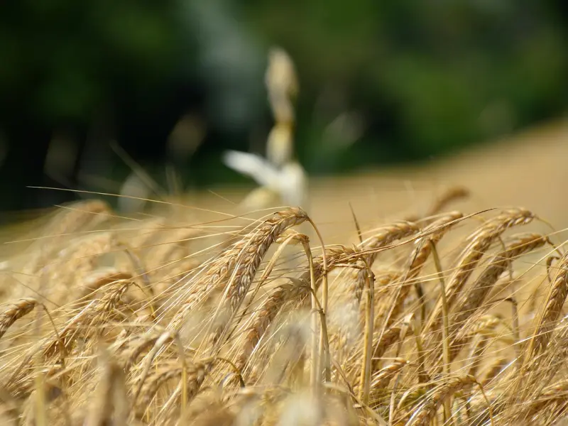 情感咨询：我想挽回男友，现在还来得及吗？