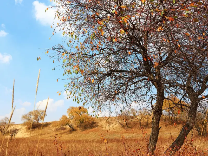 情感咨询：识别真性分手和假性分手
