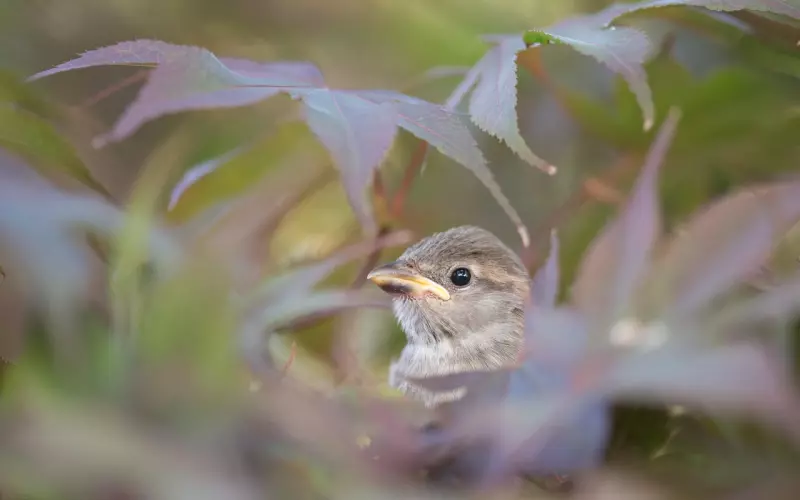 【情感咨询】他对我不信任，还会回来我身边吗？