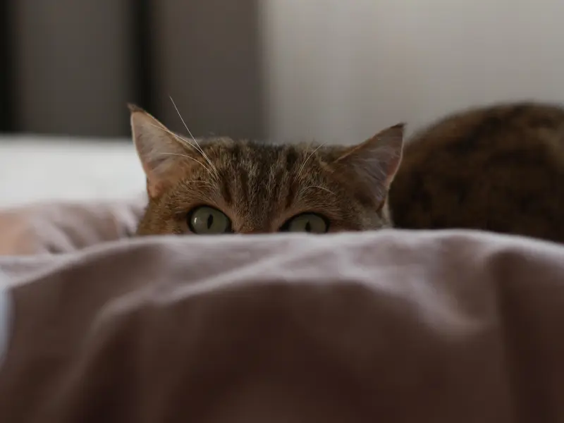 情感咨询：他是为了工作勾搭我，还是真的喜欢我？