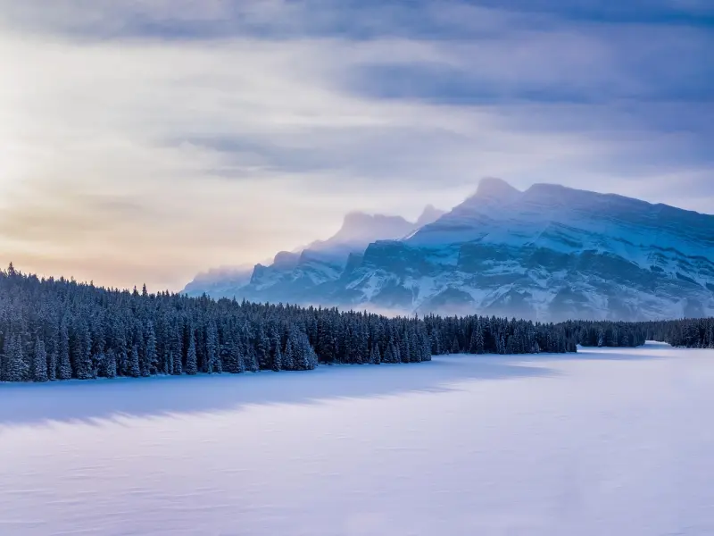 情感咨询：老公背叛我拒绝夫妻房事有错吗？