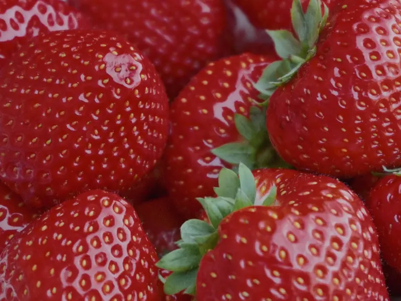 情感咨询：我不想早结婚有错吗？