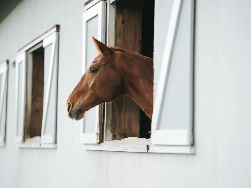 情感咨询：是不是经济稳定才能谈恋爱呢？