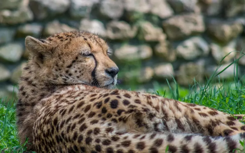 情感咨询：失恋了很痛苦，怎样才能最快走出来？