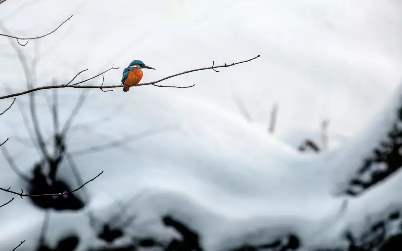 【情感咨询】男友把共同好友都屏蔽了，该怎么挽回？