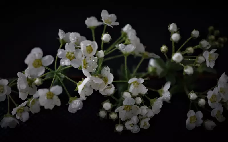 情感咨询： 我跟男友太快在一起了，如何防止被婚前杀价？