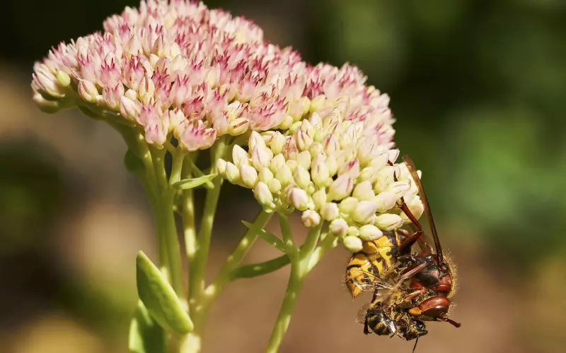 情感咨询：男友有短暂婚史，我该怎么办？