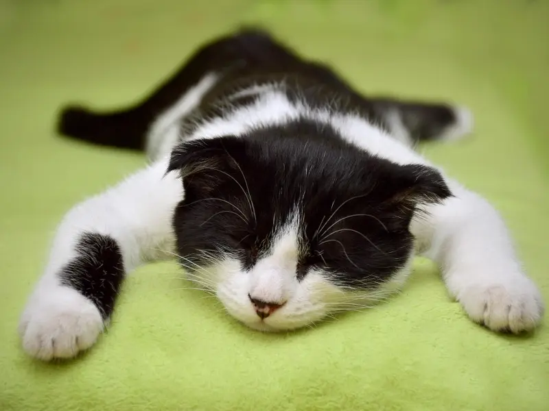 情感咨询：男友收入低还嫌弃我懒，分手后我该怎么办