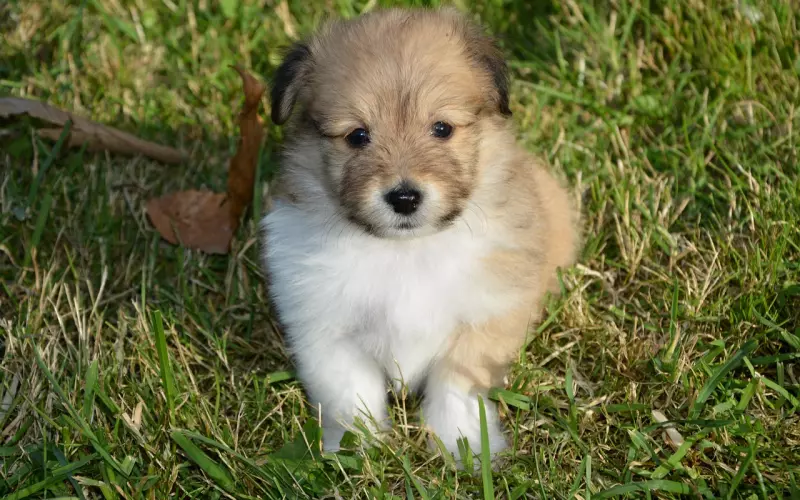 情感咨询：男友与前女友旧情复燃，我该怎么办？