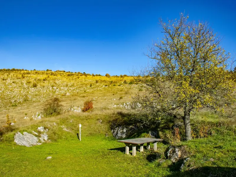 情感咨询：男友对我很冷漠，我想分手却又舍不得怎么办