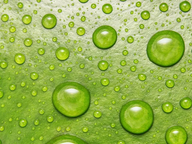 情感咨询：男友说对我没了新鲜感，我该如何挽回他？