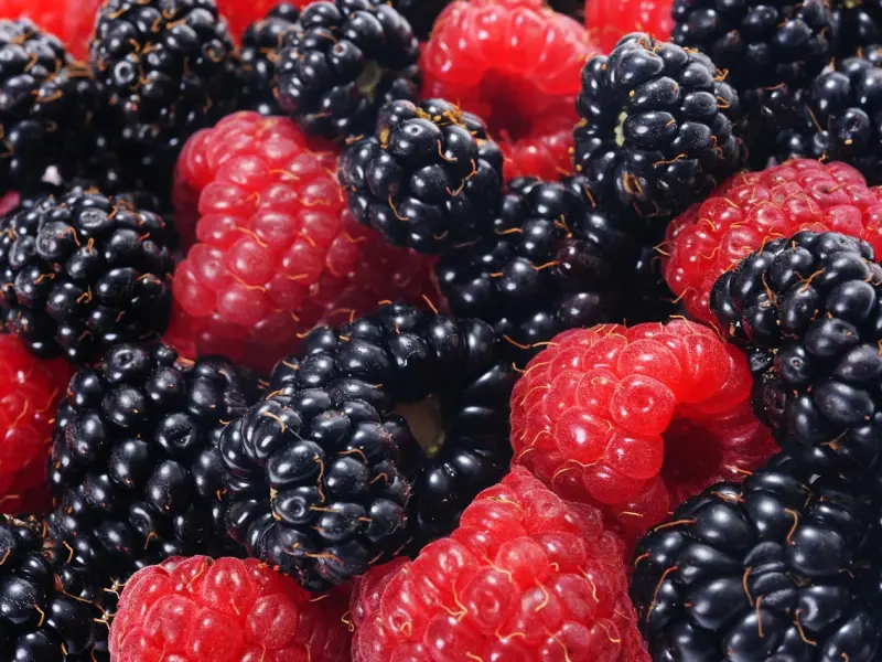 情感咨询：前妻想要复婚，出过轨性格又强势，我该和她复婚吗？