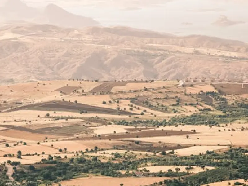 情感咨询：老公出轨，我应该挽回老公吗？