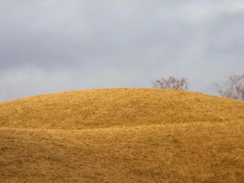 情感咨询：老公出轨了，老婆该怎么处理才是最好的？