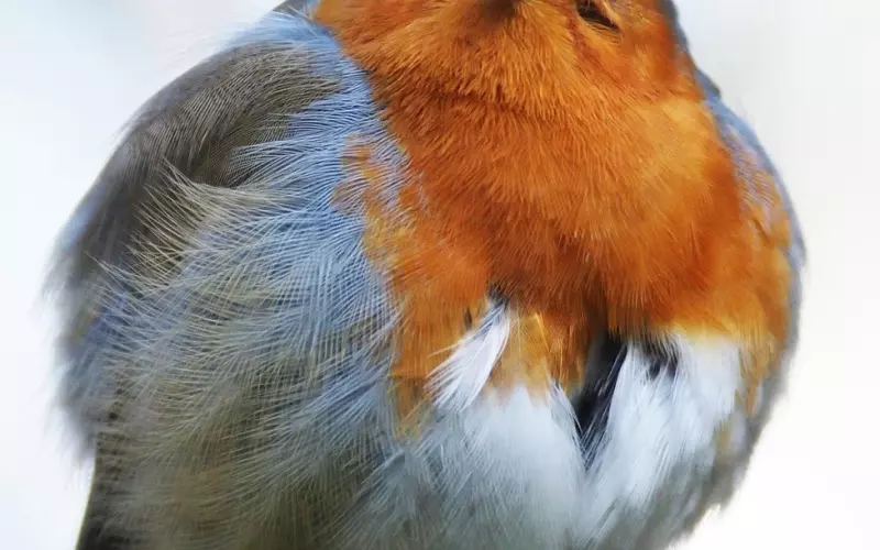 情感咨询：婚后老公脾气暴躁想离婚，我该怎么办呢？