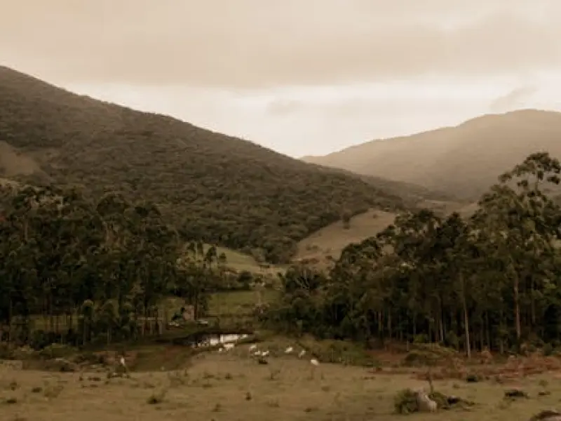 情感咨询：老公婚内出轨，婚姻关系如何挽回
